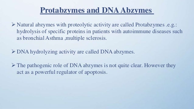 abzymes applications